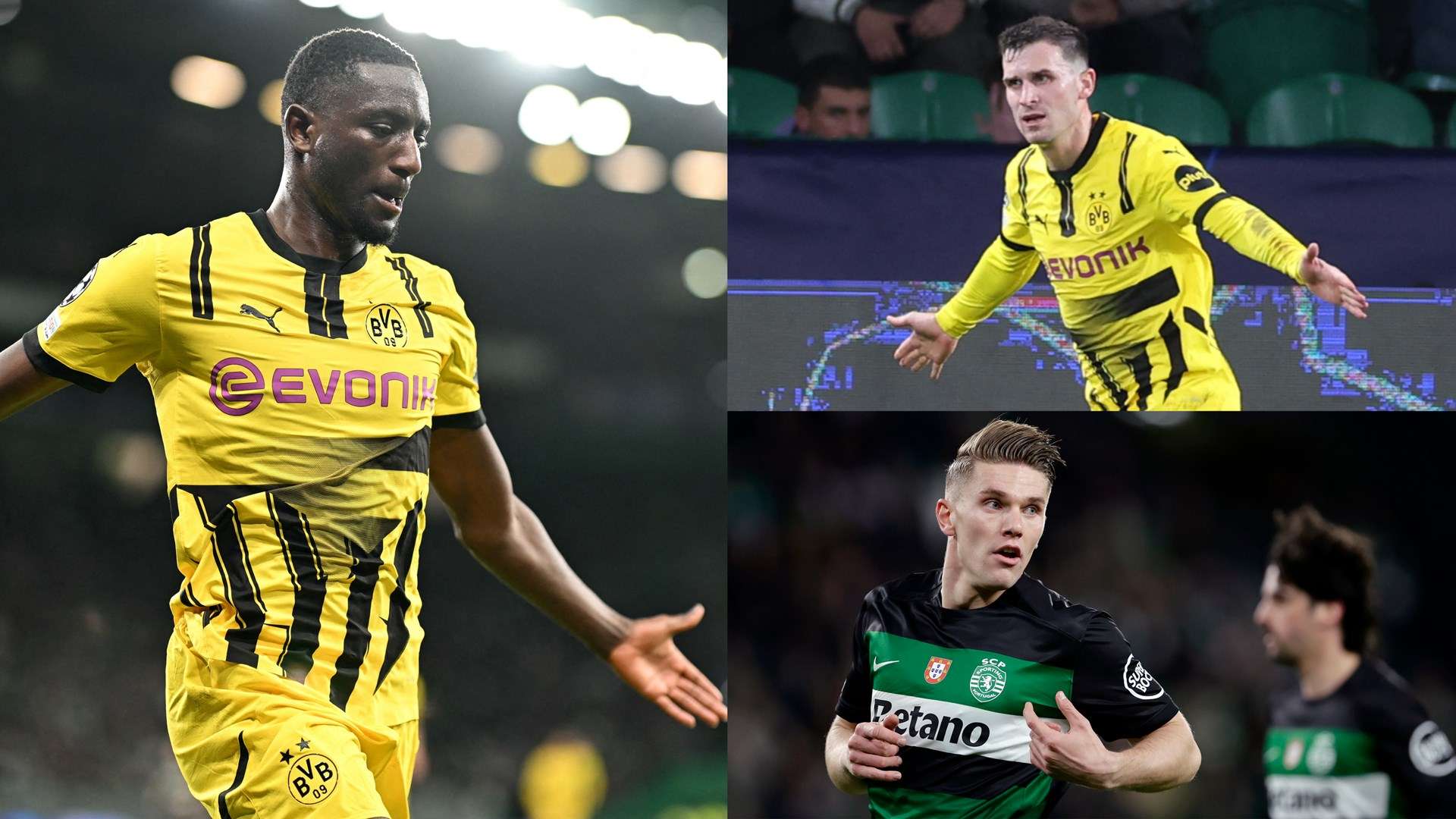 球迷和专家 球迷和专家